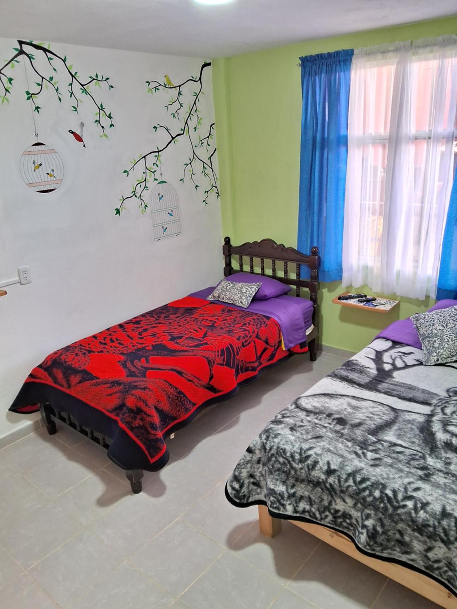 Apartamento Mixtlaxotla Zacatlan Tours Exterior foto